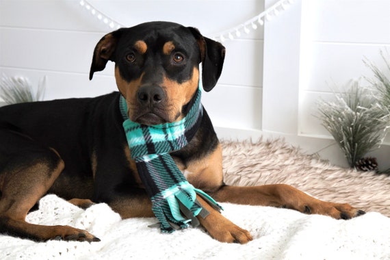 Winter scarves cheap for dogs