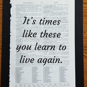 Foo Times Like These Vintage Dictionary Art