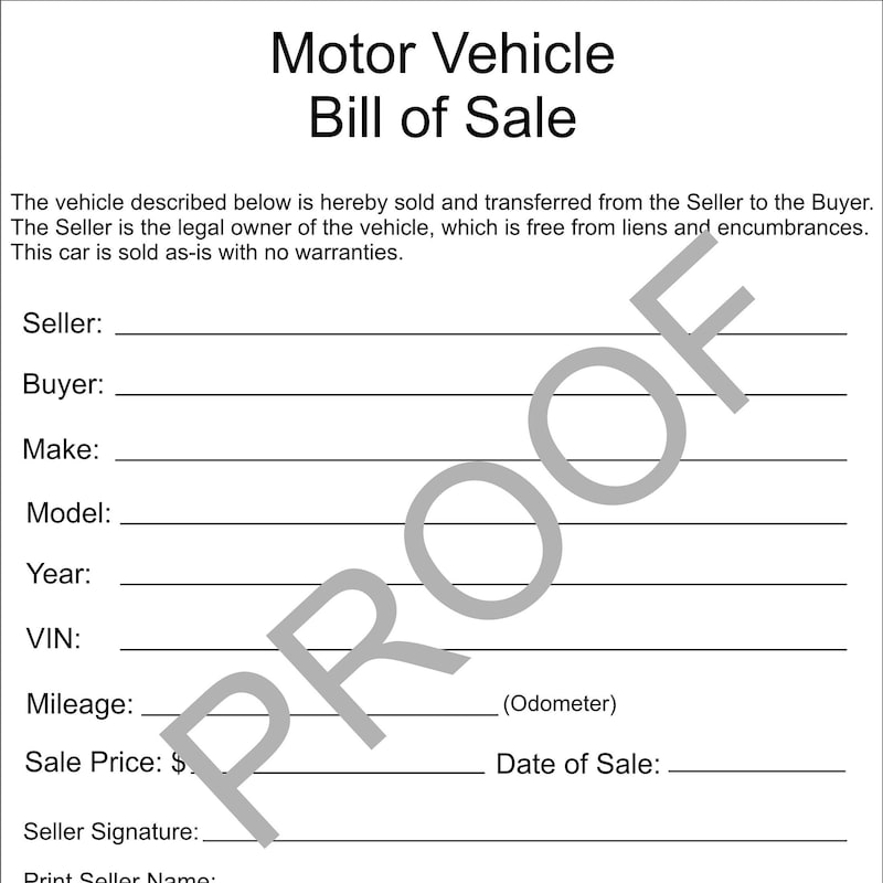 Florida Truck and Van Etsy