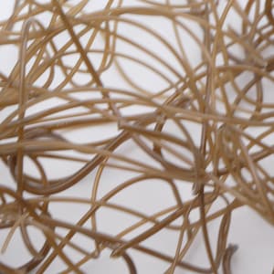May include: A close-up of a tangled mass of thin, brown, flexible cords. The cords are intertwined and create a complex pattern.