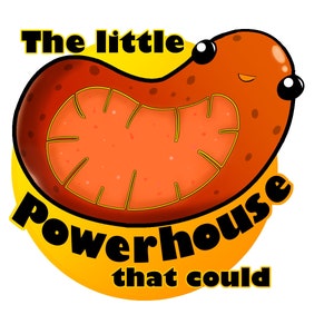 GRAPHIC | The Little Powerhouse That Could | Cute Mitochondria | DOWNLOADABLE