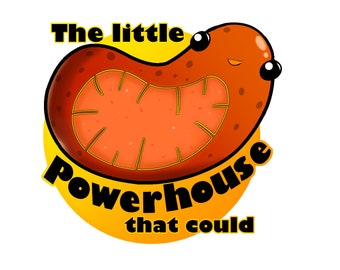GRAPHIC | The Little Powerhouse That Could | Cute Mitochondria | DOWNLOADABLE