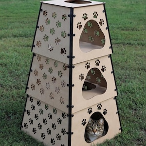 May include: A three-tiered, light brown wooden cat tower with a tapered, pyramid-like shape. Each level features cut-out paw print patterns on the sides and a large, paw-shaped entrance. A tabby cat is visible inside the bottom level entrance.
