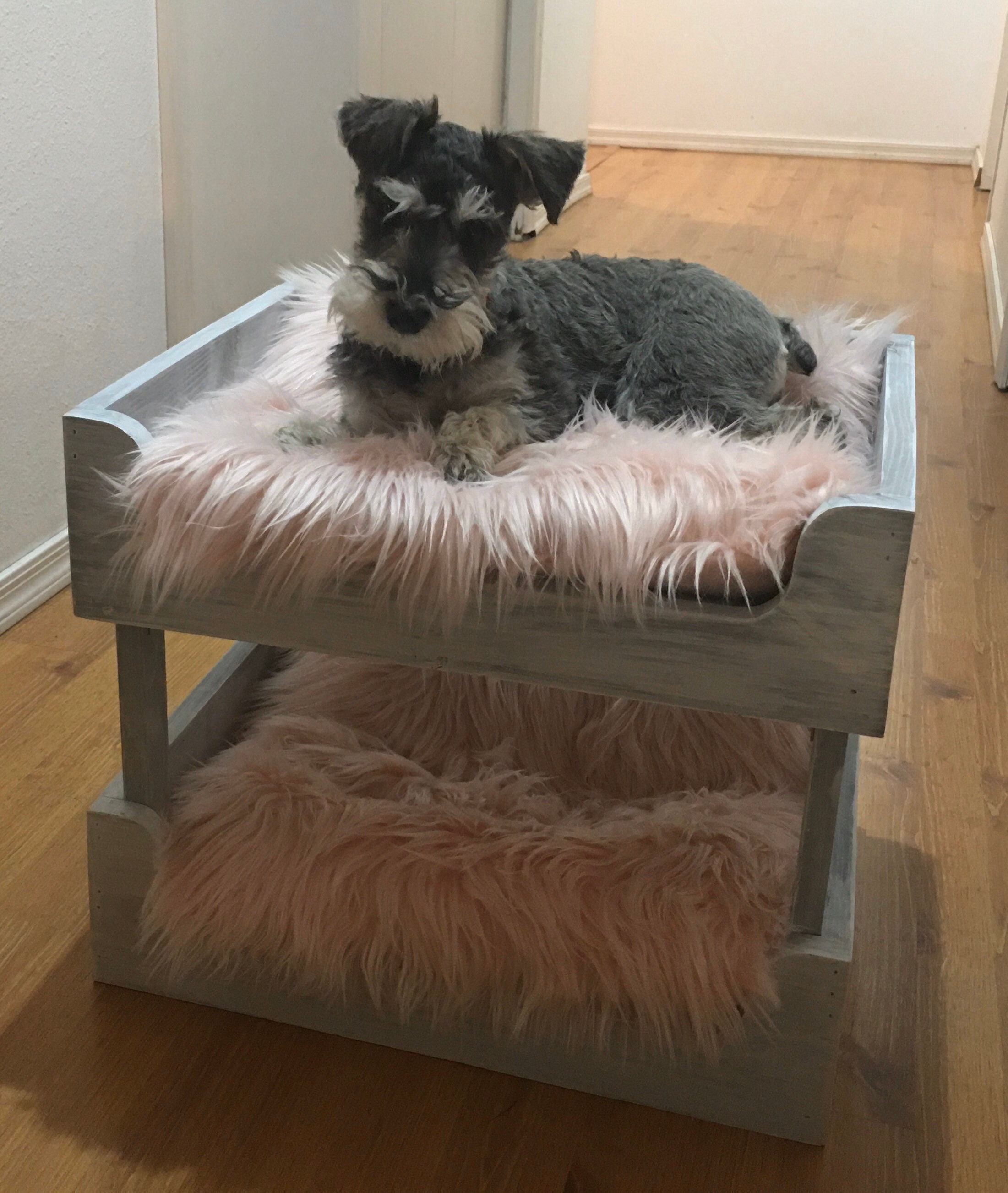 Adorable Mini Dog Bunk Beds Etsy