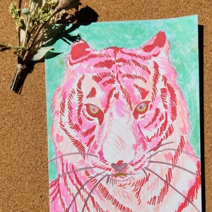 May include: A pink and red tiger illustration with a green background. The tiger has a detailed face with stripes and whiskers.