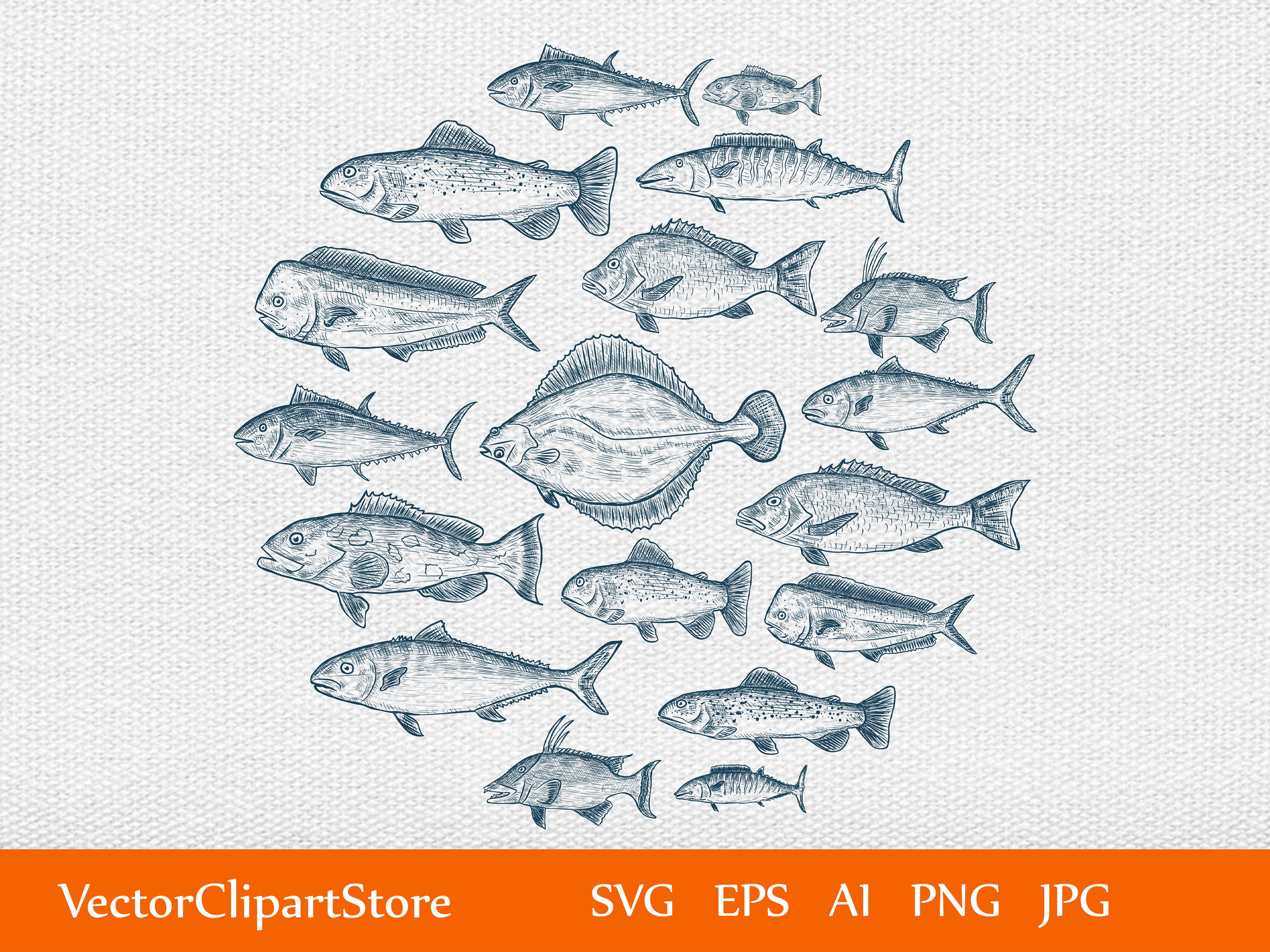 Sea Fish Sketch Svg/clipart/vector/png /mahi/brook - Etsy