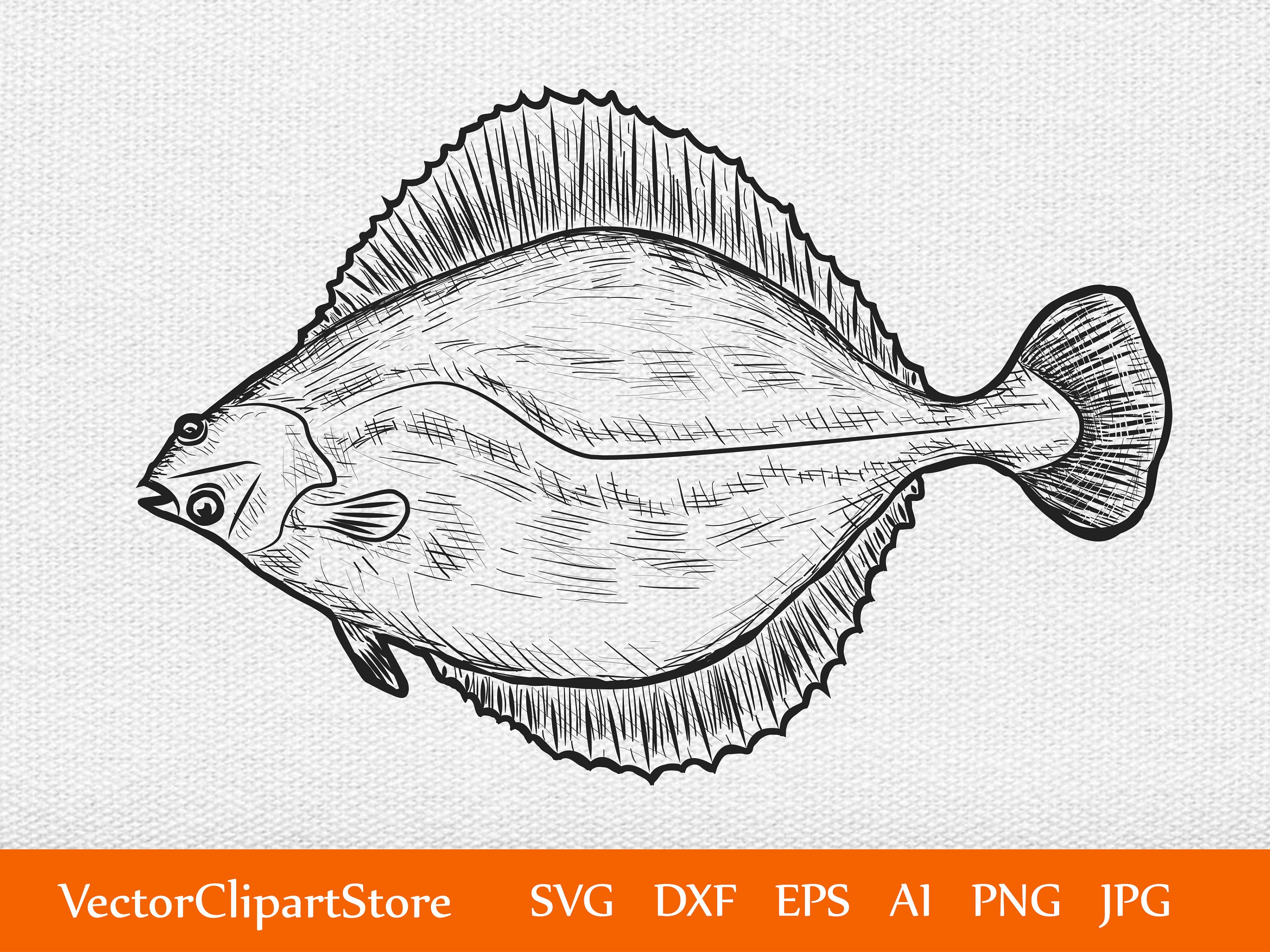 Download Sea Fish Sketch SVG/Clipart/Vector/Dxf/Png /Mahi/Brook | Etsy