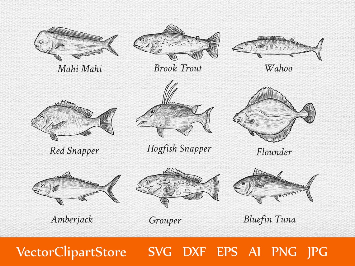 Download Sea Fish Sketch SVG/Clipart/Vector/Dxf/Png /Mahi/Brook | Etsy