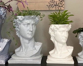 Michelangelo's David Bust Planter Pot with Drip Tray