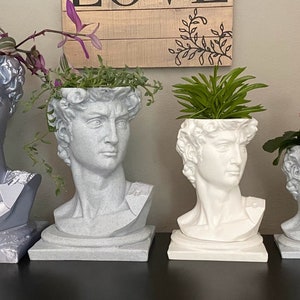 Michelangelo's David Bust Planter Pot with Drip Tray