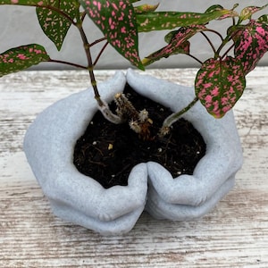Heart shaped hands Planter  | Love planter | Hand Planter | Unique Planter  | Hands Plant pot