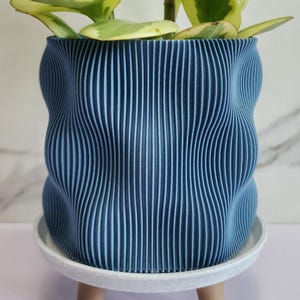 Bubbly Planter: Eco-Friendly Decor, Modern Plant Pot w/ Drainage & Matching Drip Tray For Houseplants, Small Large, 4 6 8 10 Inch