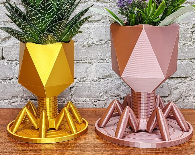 Bacteriophage planter / Pen Holder | Virus Planter | Biology Planter | Air plants and Succulent Planters | Desk Decor