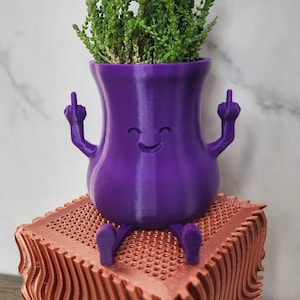 May include: Purple 3D printed planter shaped like a person with arms raised in a middle finger gesture. The planter has a happy face and is holding a small green plant.