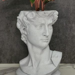 Michelangelos David-staty, kruka med droppbricka