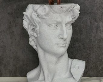 Michelangelo's David Statue Planter Pot with Drip Tray