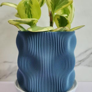 Bubbly Planter: Eco-Friendly Decor, Modern Plant Pot w/ Drainage & Matching Drip Tray For Houseplants, Small Large, 4 6 8 10 Inch