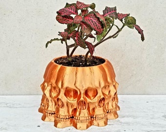 Puede incluir: Una maceta con forma de calavera de color cobre llena de tierra y una planta con hojas rojas y verdes. La maceta tiene un diseño detallado de calavera y está colocada sobre una superficie blanca.