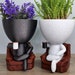 see more listings in the People Planters section