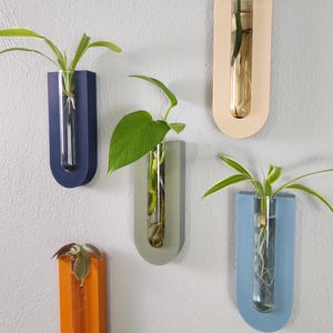 Simple Arched Plant Propagation Wall Planter | Original Design & Eco-friendly | Gift For Gardeners | Minimalist Wall Decor