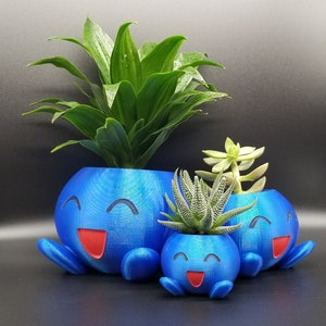 Maceta - Maceta Azul Feliz