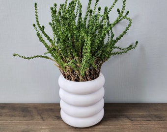 White Bubble Ring Planter Pot With Optional Hidden Drip tray bottom