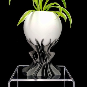 Maceta de bola de cristal / Maceta de bruja / Maceta de mago / Maceta con riego automático / Decoración gótica