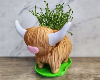 Scottish Highland Cow Planter with Grassy field Drip tray  | Shetland Cow