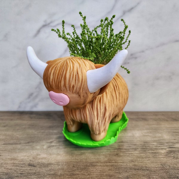 Scottish Highland Cow Planter with Grassy field Drip tray  | Shetland Cow