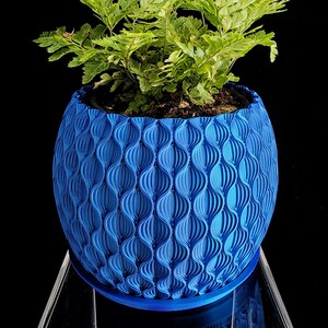 May include: A vibrant blue plant pot with a repeating vertical wave pattern on the exterior surface. The pot contains a lush green fern with delicate, feathery fronds that extend upwards and outwards from the dark soil visible at the top.