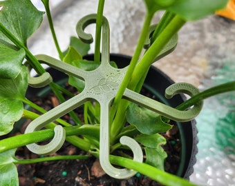 Plant Supports for house plants  "Stem Strong", Plant accessories, houseplant stem support, plant branch holder