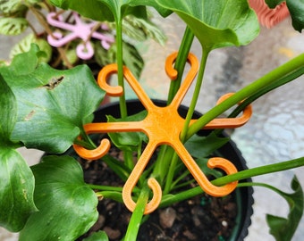 Plant "Stem Strong" Supports for house plants, Plant accessories, Stem supports