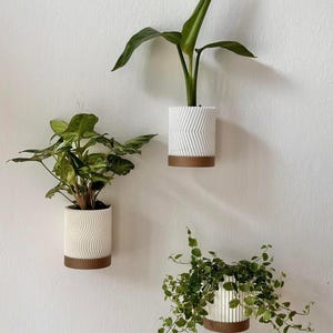 Peut inclure: Trois jardinières murales avec des plantes vertes contre un mur blanc. Les jardinières sont blanches avec des motifs texturés et des bases marron. Les plantes ont diverses formes et tailles de feuilles, créant un affichage naturel et décoratif.