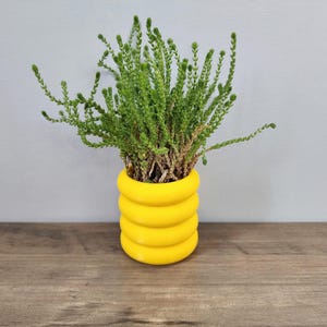 Yellow Bubble Ring Planter Pot With Optional Hidden Drip tray bottom