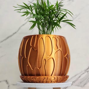 May include: A decorative, bronze-colored planter with an organic, patterned design. The planter holds a vibrant green plant with long, slender leaves. The planter sits on a matching saucer, and is displayed on a small, white table.