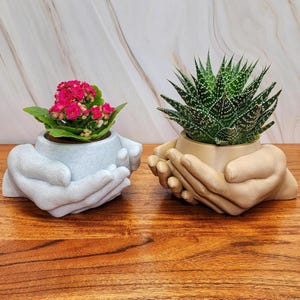 Puede incluir: Dos macetas con forma de mano, una blanca y otra marrón, con una planta suculenta en la maceta marrón y una planta con flores rosas en la maceta blanca.