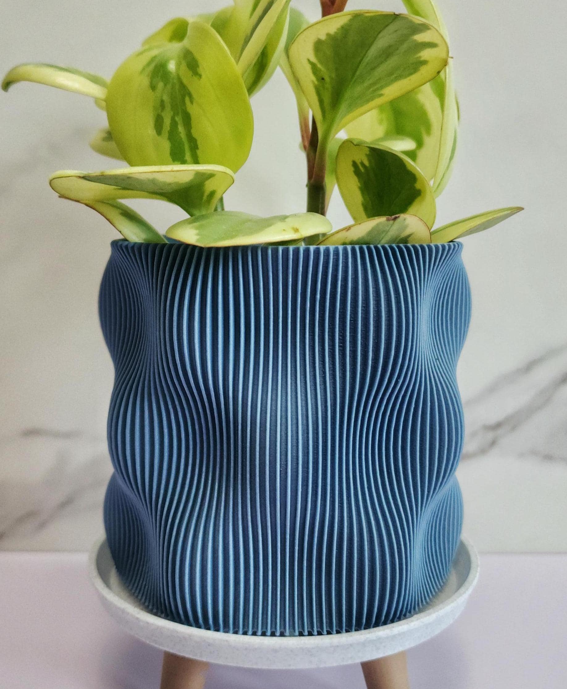 10 Inch Pot With Saucer - Etsy