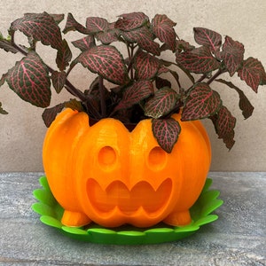 May include: Orange pumpkin-shaped planter with a carved jack-o'-lantern face, holding a green and red leafy plant. The planter has a green saucer.