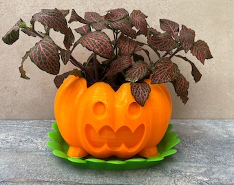 Pumpkin Planter
