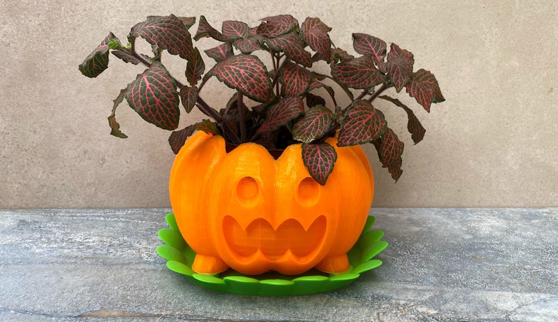 Peut inclure: Pot de fleurs en forme de citrouille orange avec un visage de citrouille sculpt&eacute;, contenant une plante verte et rouge. Le pot a une soucoupe verte.