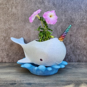 NarWhale Planter with spash theme Drip Tray