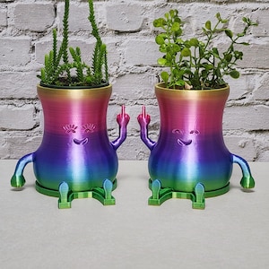 Freche Mittelfinger Planter Menschen | Sukkulenten Pflanzer | Gag-Geschenk-Topf | Lustiger Blumentopf | Geschenk für Paare | Kawaii Stil Blumentopf