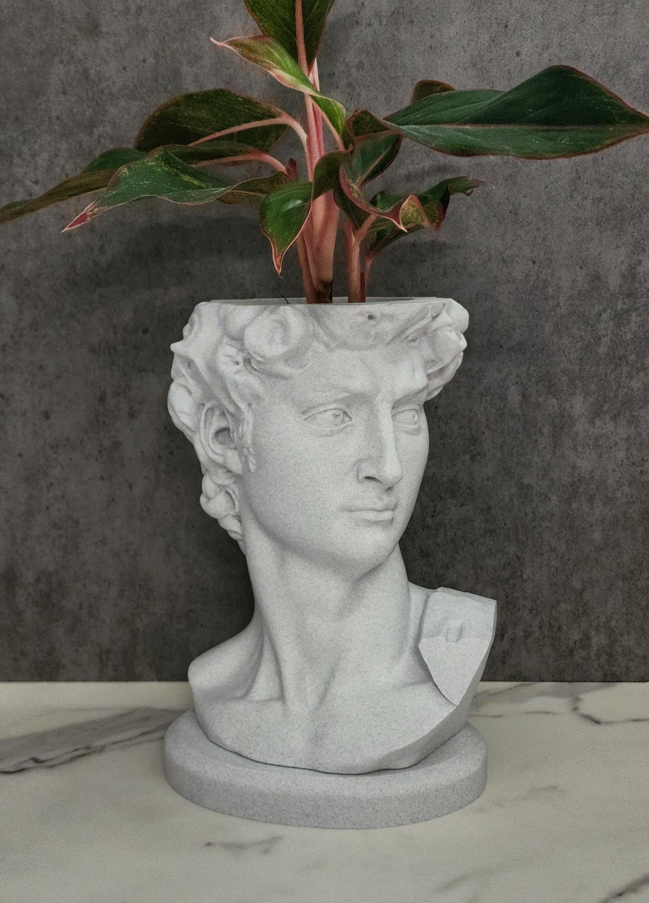 Michelangelo's David Statue Planter Pot With Drip Tray - Etsy
