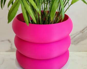 darth vader plant Billbergia 'Darth Vader'  bromeliad.com