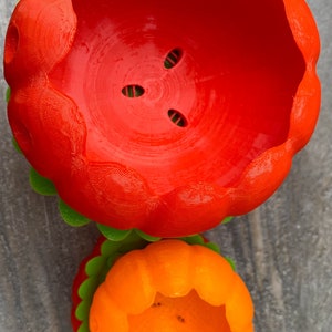 Peut inclure: Deux pots en plastique en forme de poivrons. Le plus grand pot est rouge et le plus petit est orange. Les deux pots ont un trou au fond pour le drainage.