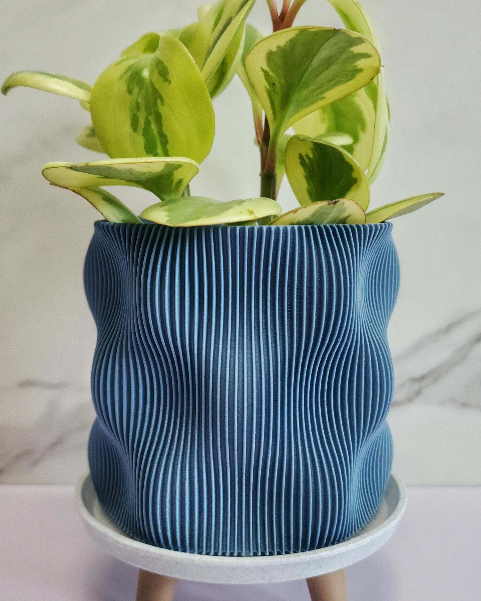10 Inch Planter Pot With Saucer - Etsy