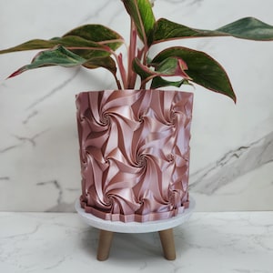 May include: A rose gold cylindrical plant pot with a repeating geometric spiral pattern. The pot sits on a white circular base with three short wooden legs. A plant with green and pink variegated leaves is planted inside the container.
