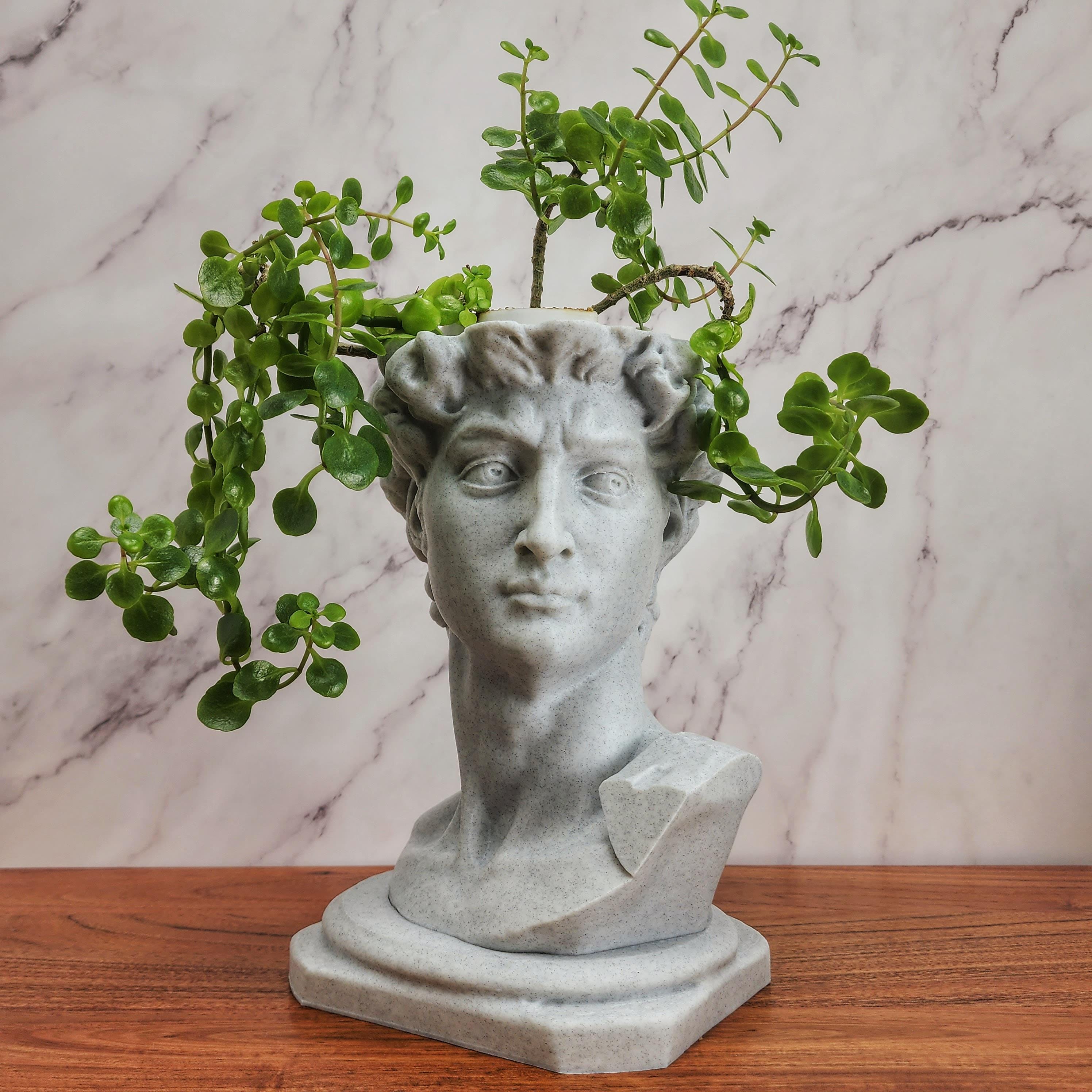 Michelangelo's David Statue Planter Pot With Drip Tray - Etsy