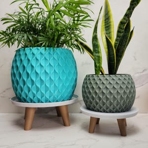 Bloom Planter with drainage: Eco-Friendly Decor, Modern Plant Pot with Drip Tray