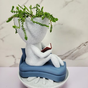 Bokälskare Suckulentplanter | Läsarfigur, dränering och bricka